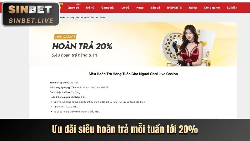 Biểu ngữ khuyến mãi Shbet độc quyền